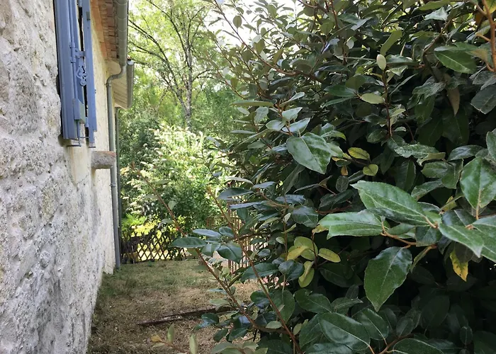 Le Moulin Du Pont De Matar Montpezat-de-Quercy
